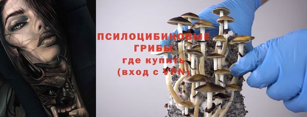 соль ск Пестово