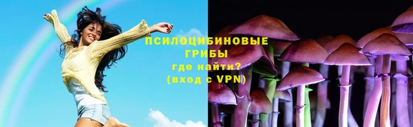 2c-b Алзамай